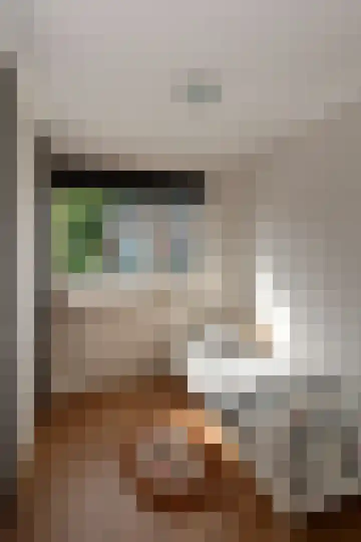 Coendersstraat 1 Borne thumbnail 18