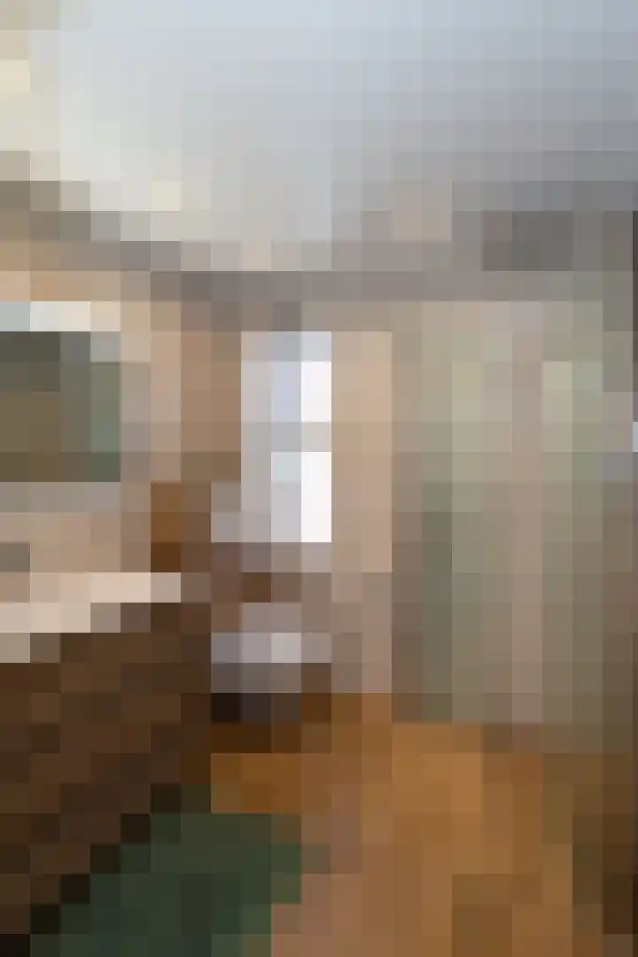 Coendersstraat 1 Borne thumbnail 19