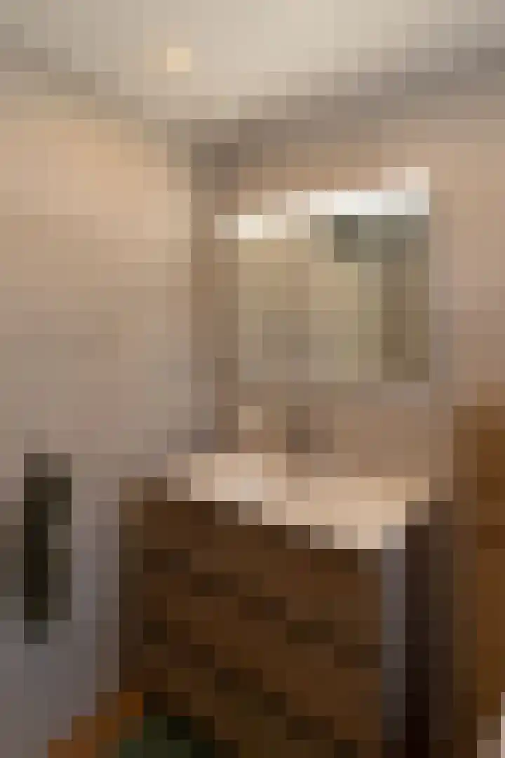 Coendersstraat 1 Borne thumbnail 20