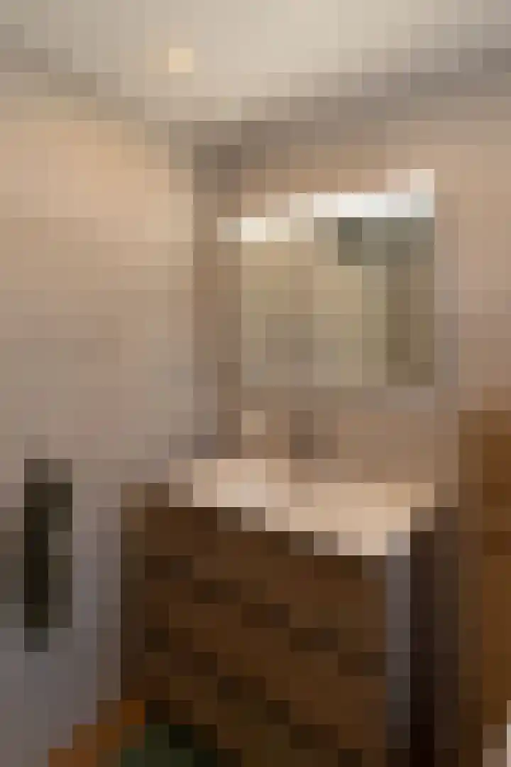 Coendersstraat 1 Borne thumbnail 20