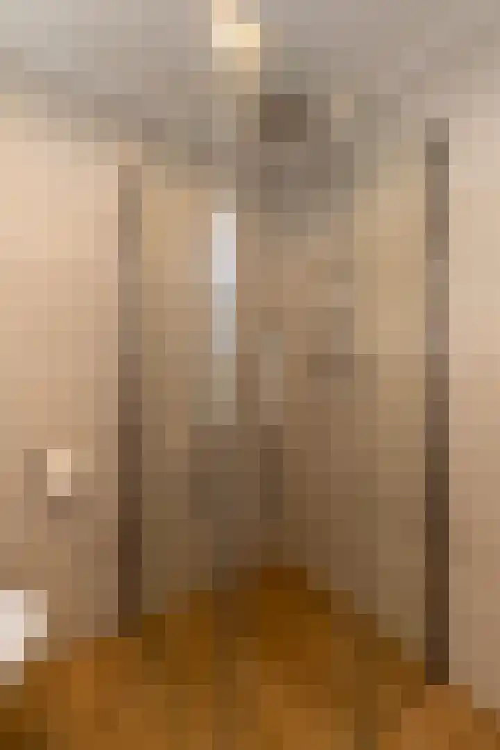 Coendersstraat 1 Borne thumbnail 22