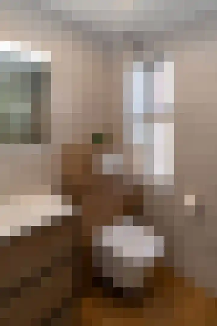 Coendersstraat 1 Borne thumbnail 23