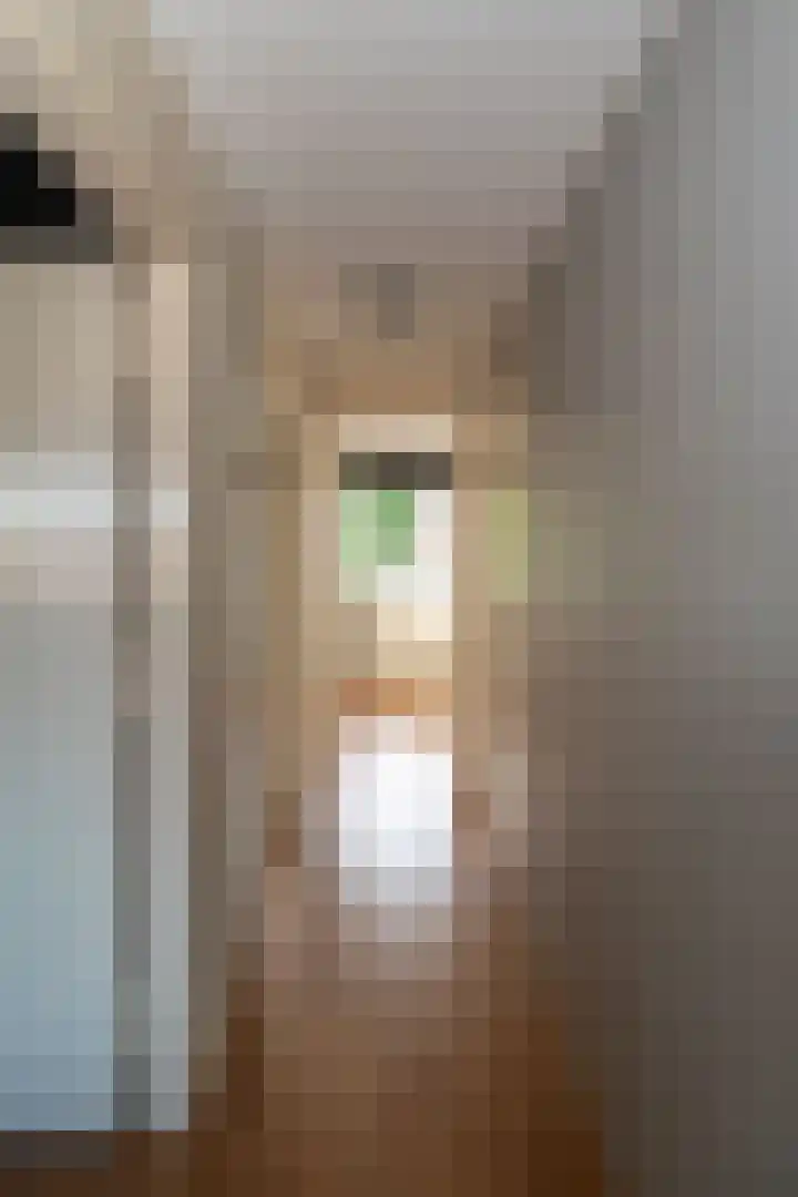 Coendersstraat 1 Borne thumbnail 24