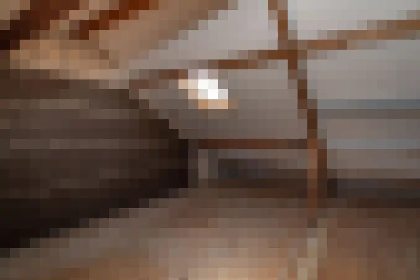 Coendersstraat 1 Borne thumbnail 27