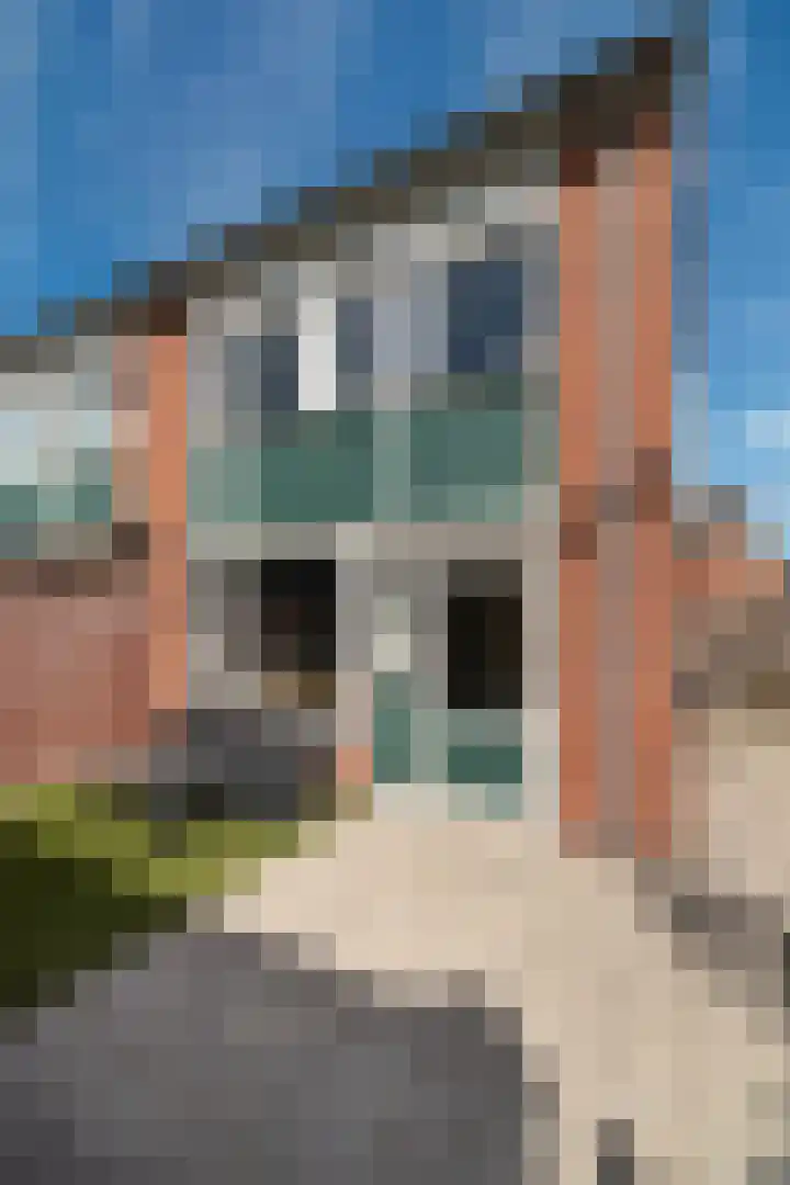 Coendersstraat 1 Borne thumbnail 29