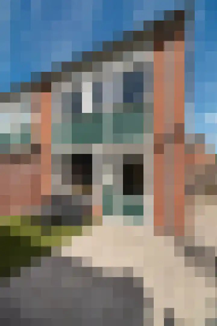 Coendersstraat 1 Borne thumbnail 29