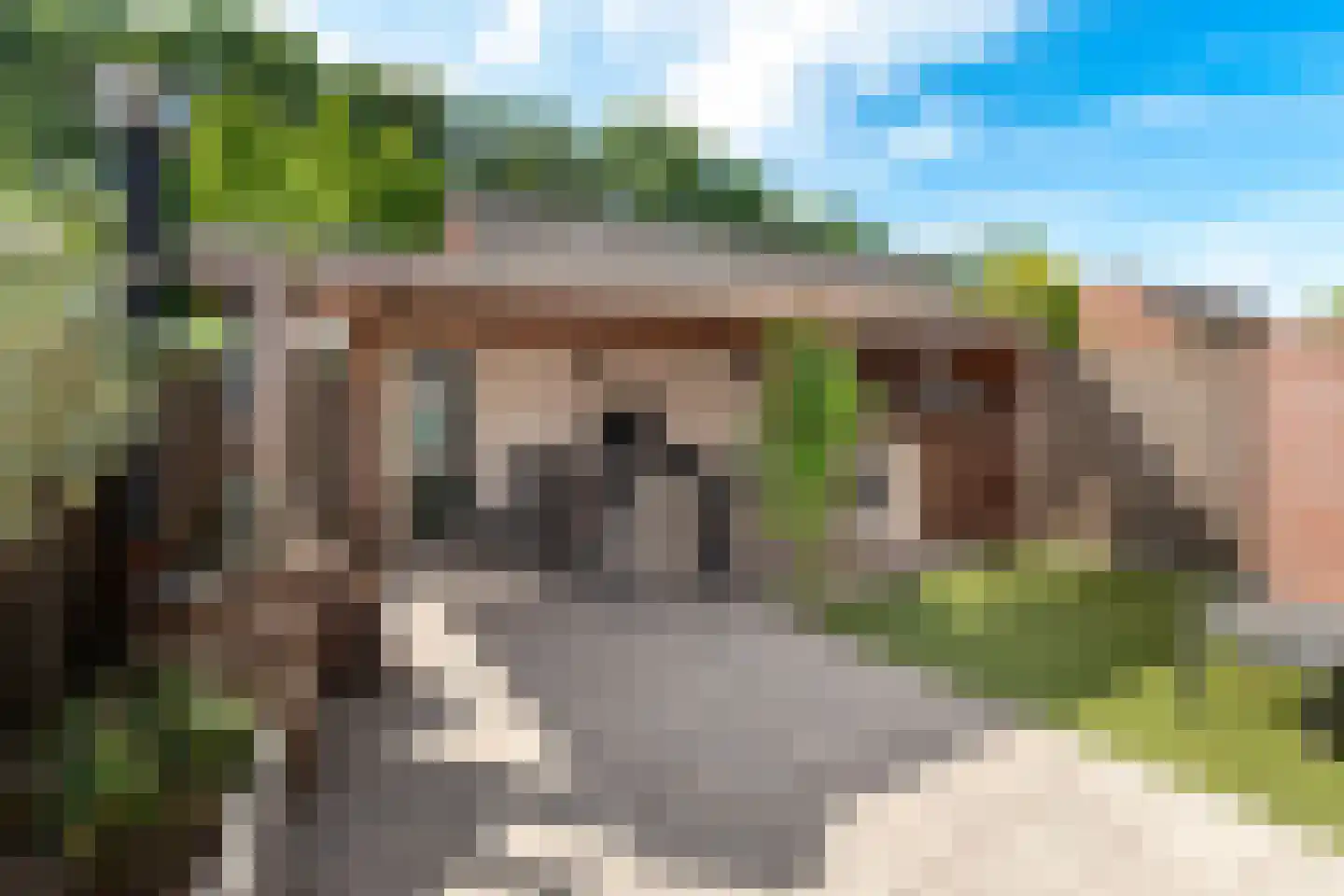 Coendersstraat 1 Borne thumbnail 31