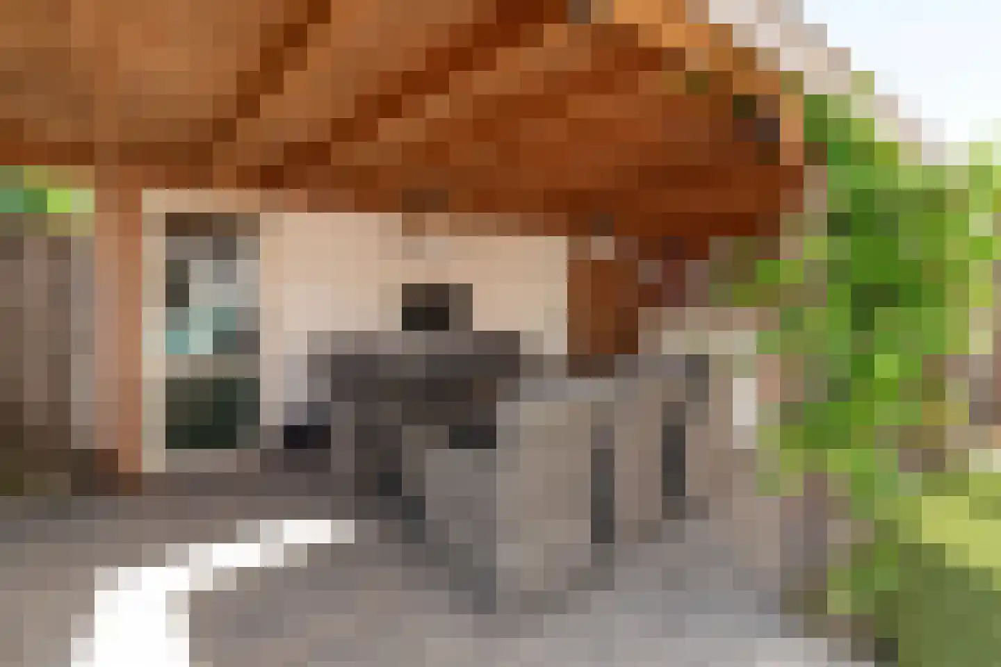 Coendersstraat 1 Borne thumbnail 32