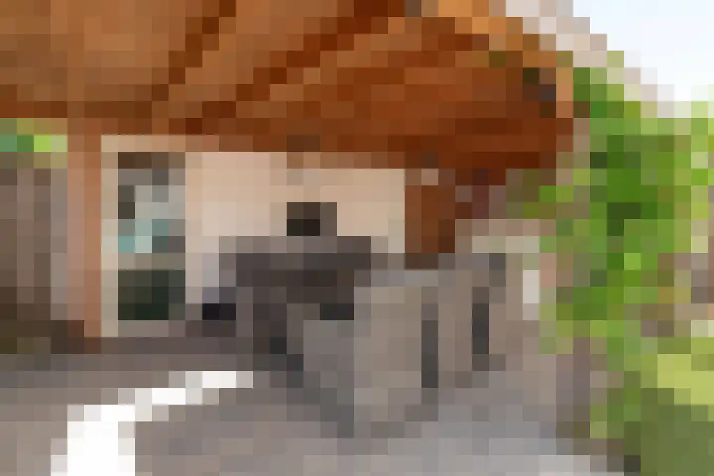 Coendersstraat 1 Borne thumbnail 32