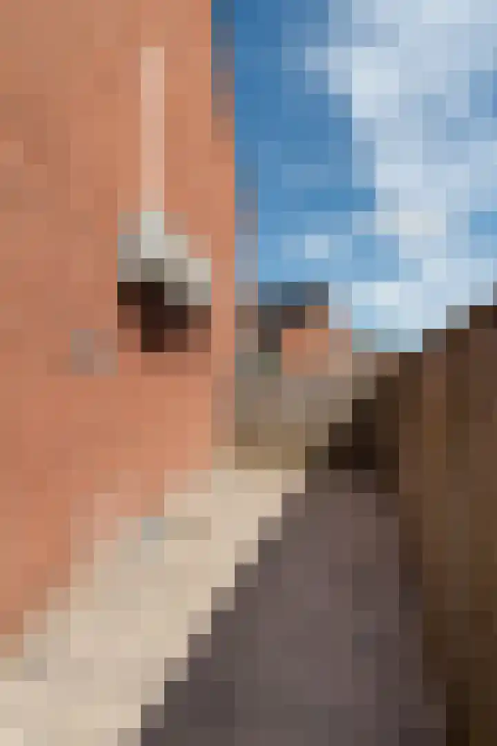 Coendersstraat 1 Borne thumbnail 33