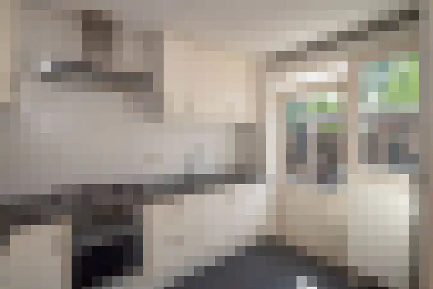 Coendersstraat 1 Borne thumbnail 9