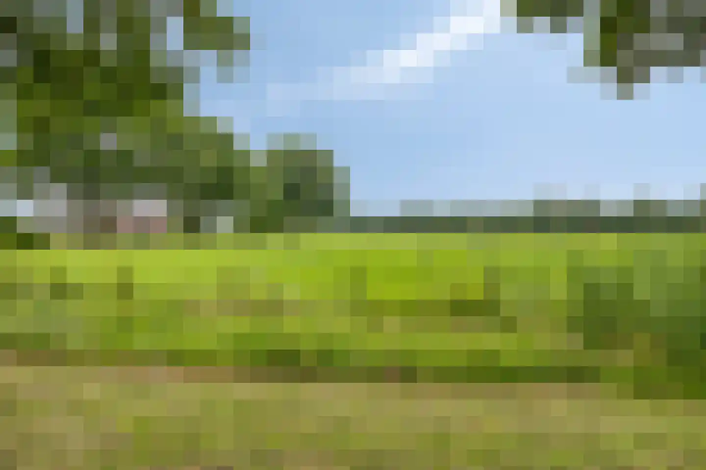 Coendersstraat 2 Borne thumbnail 27