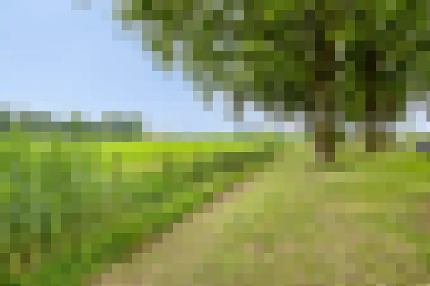 Coendersstraat 2 Borne thumbnail 28
