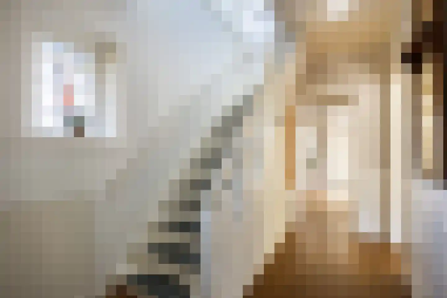 Coendersstraat 23 Bedum thumbnail 20