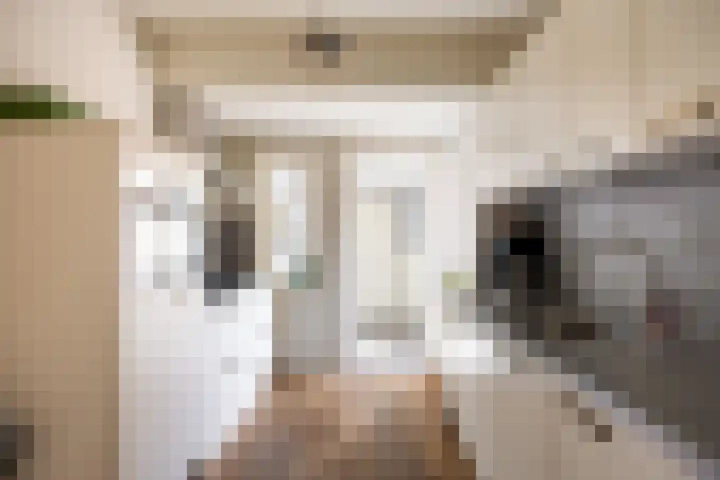 Coendersstraat 23 Bedum thumbnail 30
