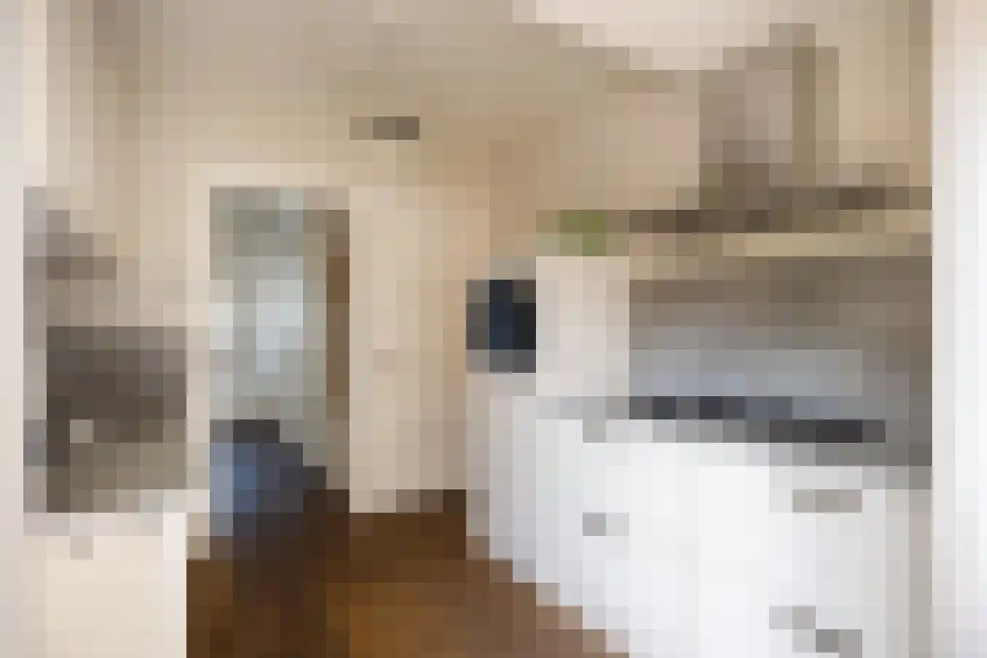 Coendersstraat 23 Bedum thumbnail 32