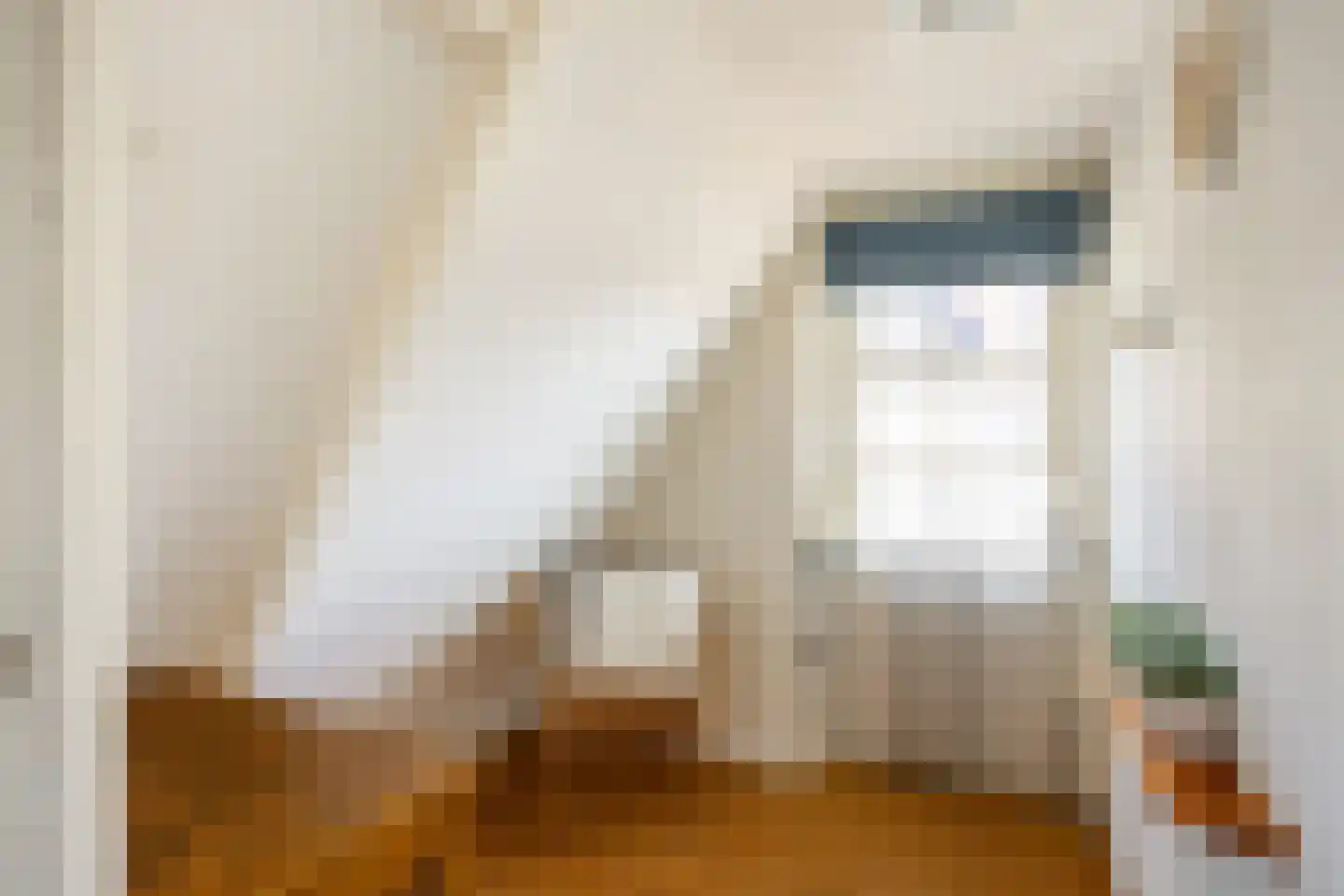 Coendersstraat 23 Bedum thumbnail 48