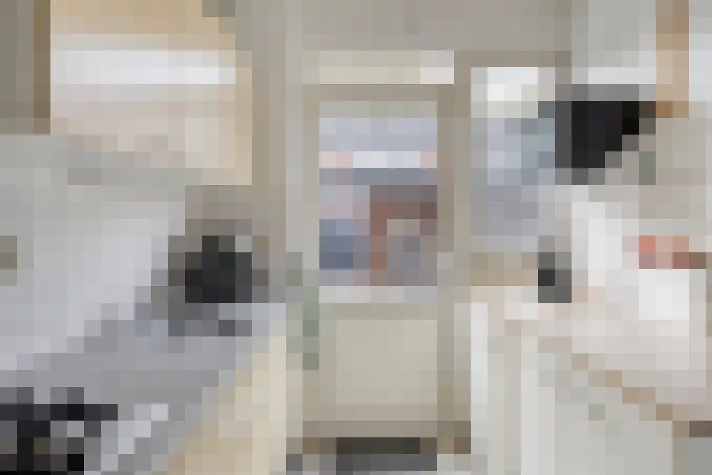Coendersstraat 5 Borne thumbnail 12