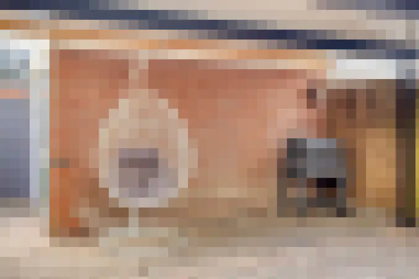 Coendersstraat 5 Borne thumbnail 27
