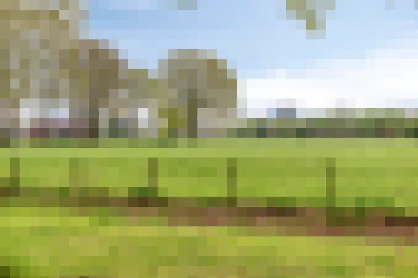 Coendersstraat 5 Borne thumbnail 29