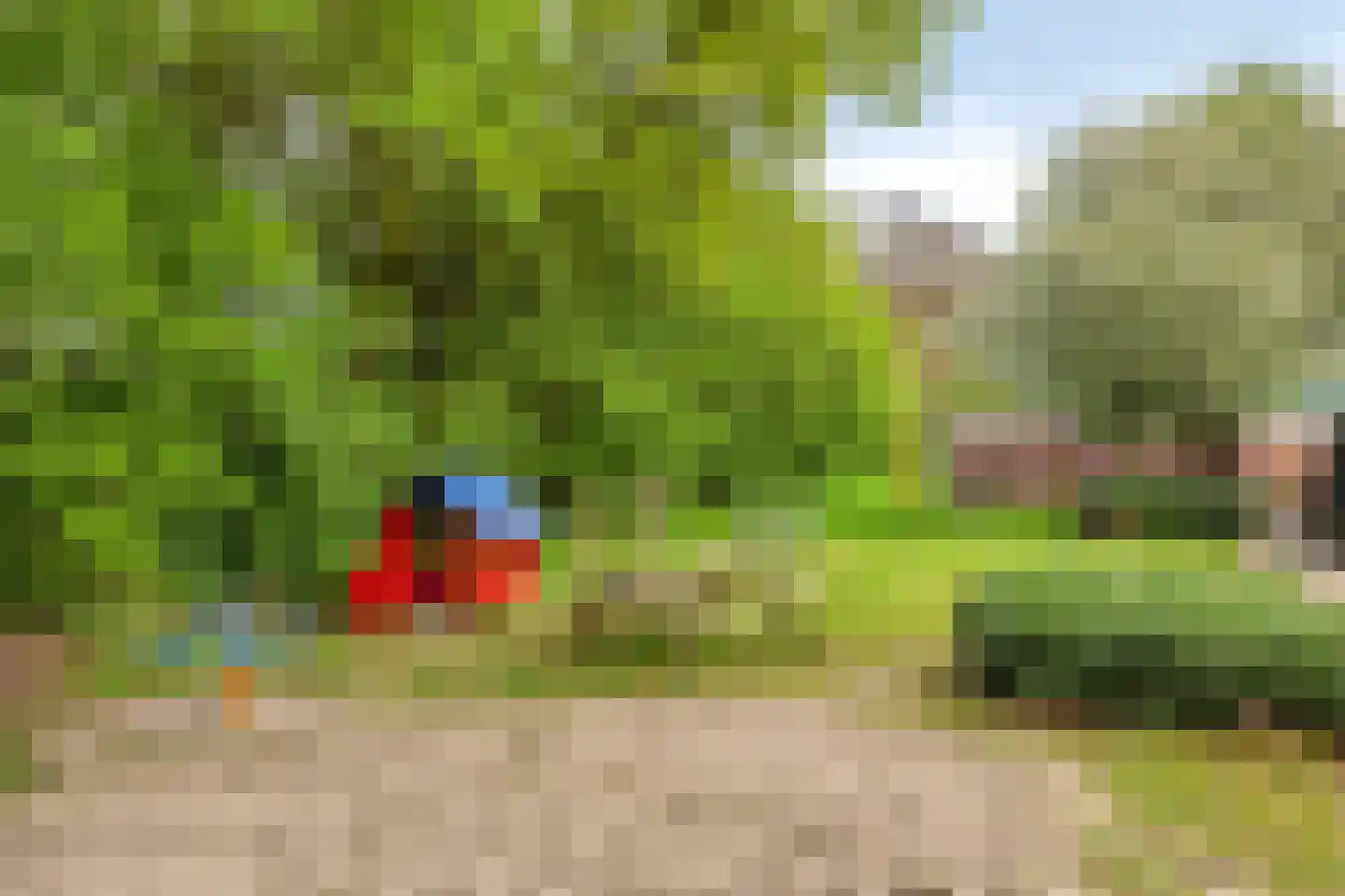 Coendersstraat 5 Borne thumbnail 30
