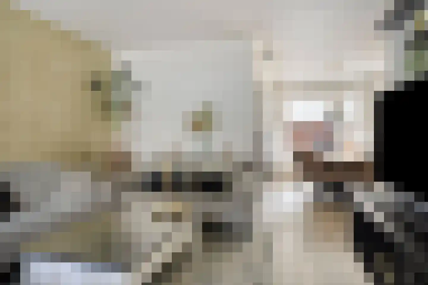 Coendersstraat 5 Borne thumbnail 7