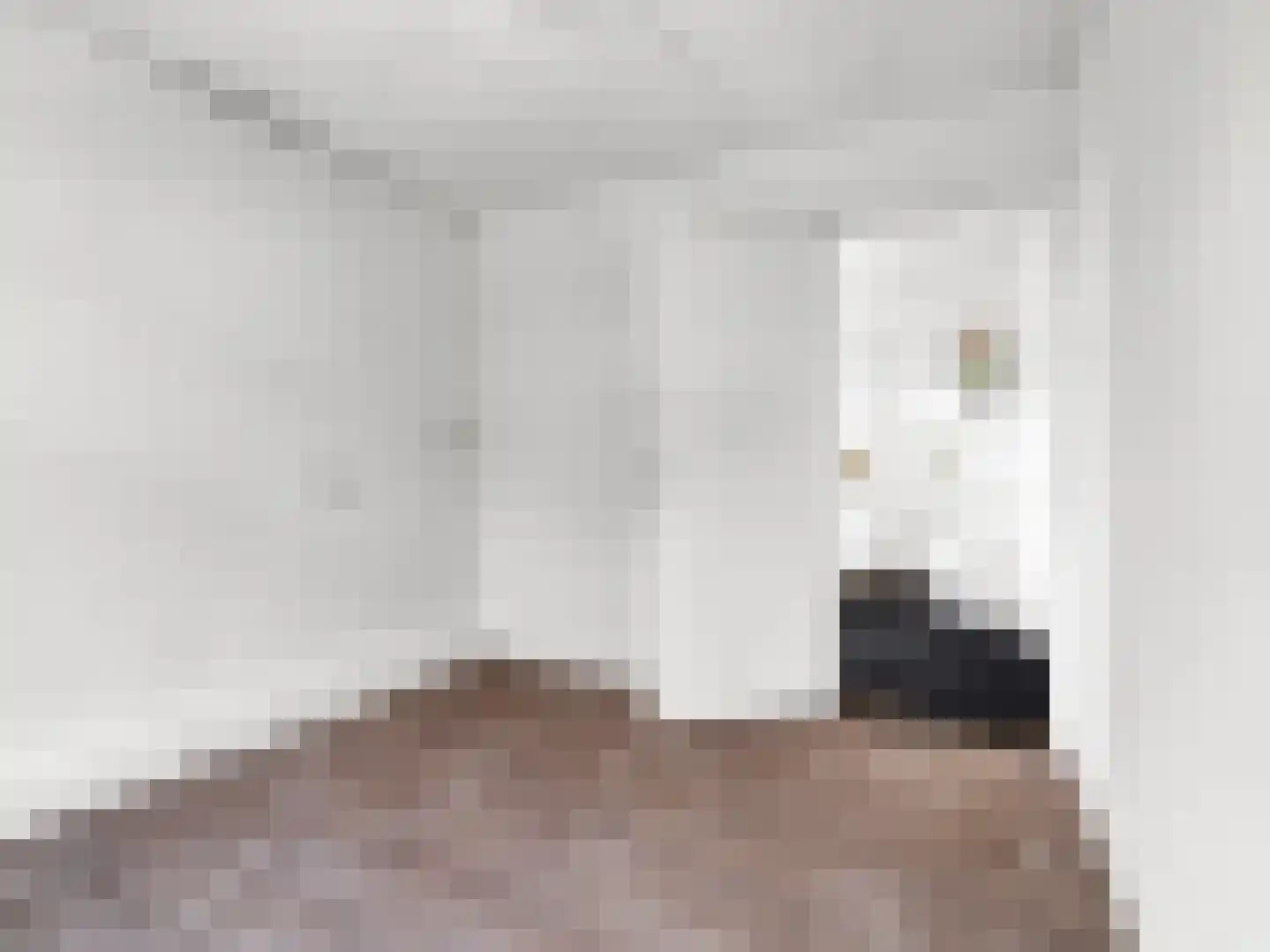 Coenderstraat 20 Delft thumbnail 31