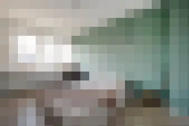 Coendersweg 10 a Groningen thumbnail 34