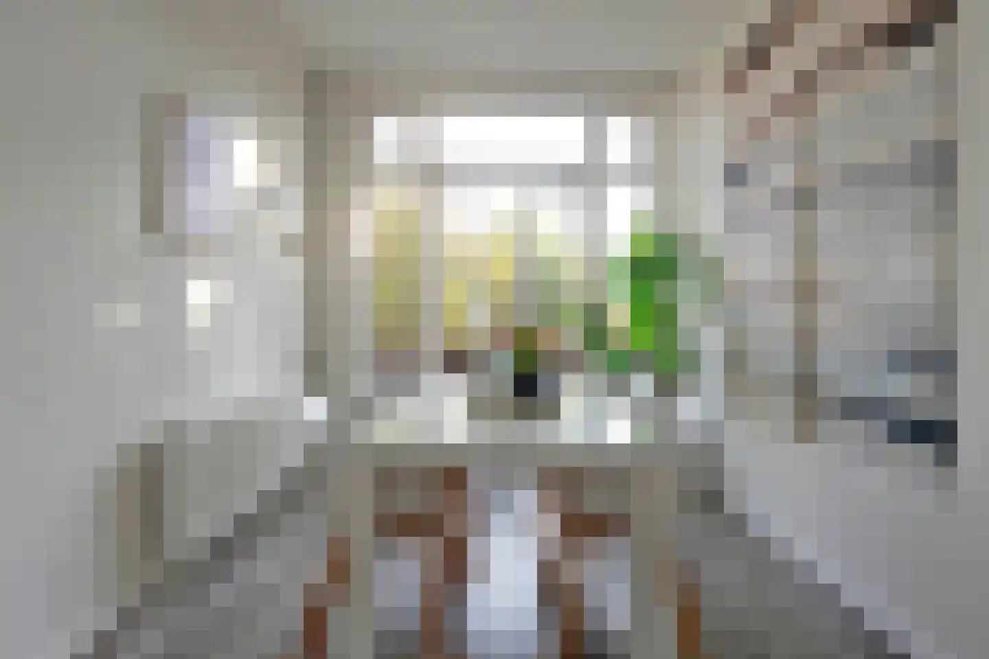 Coendersweg 10 b Groningen thumbnail 23