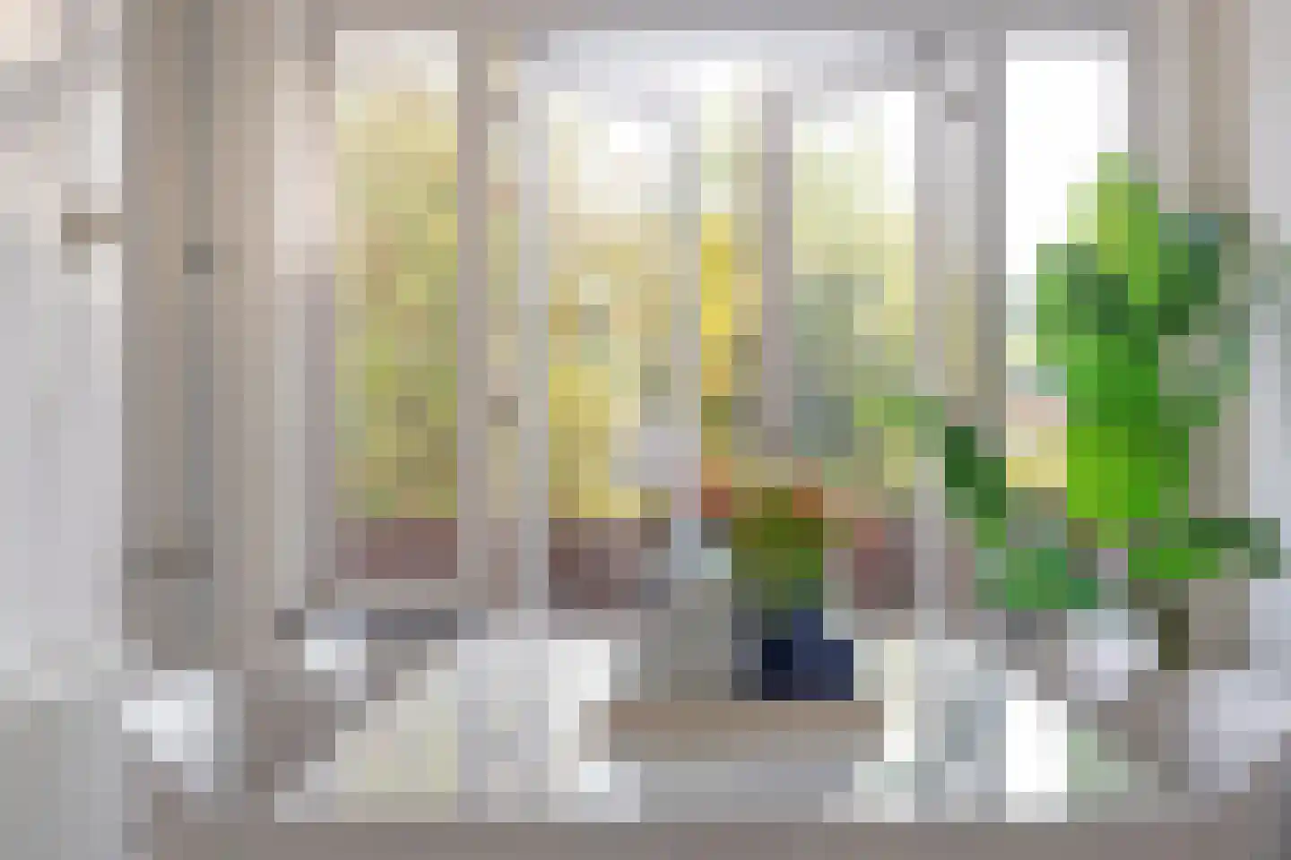 Coendersweg 10 b Groningen thumbnail 24