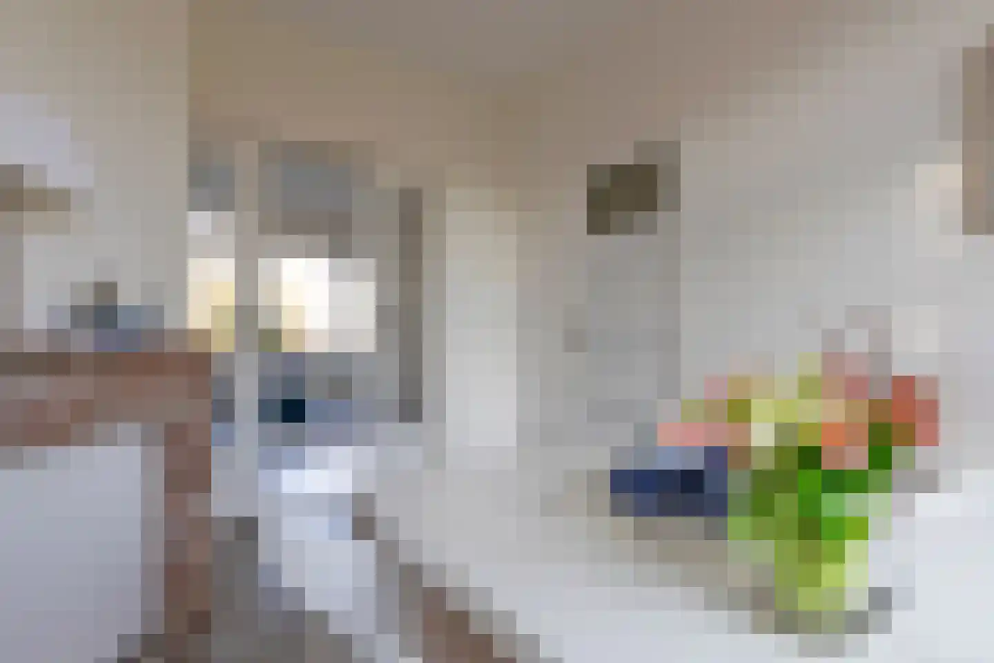 Coendersweg 10 b Groningen thumbnail 27