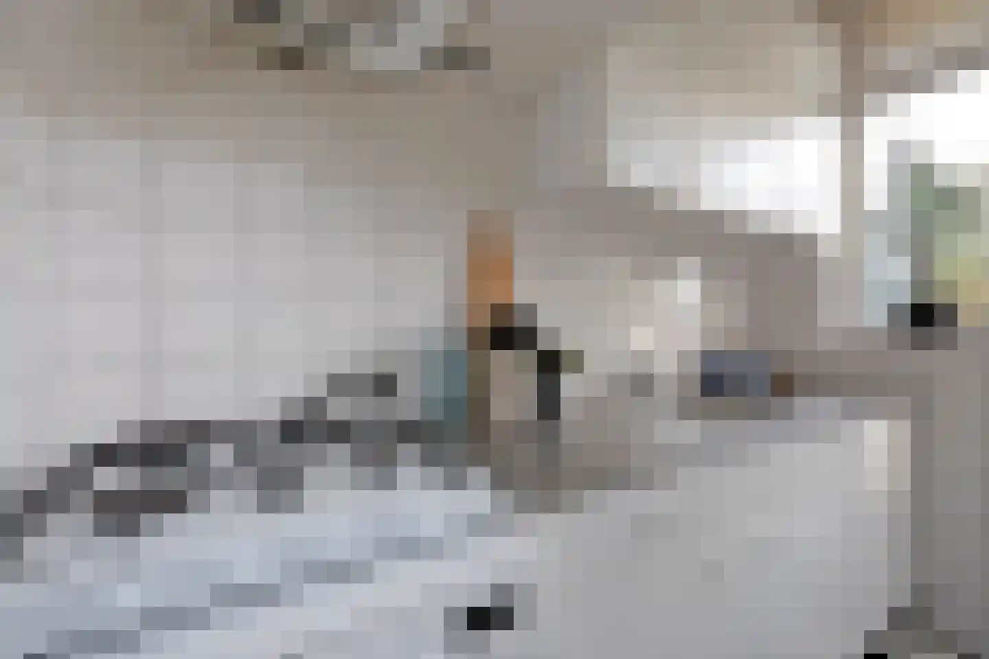 Coendersweg 10 b Groningen thumbnail 29