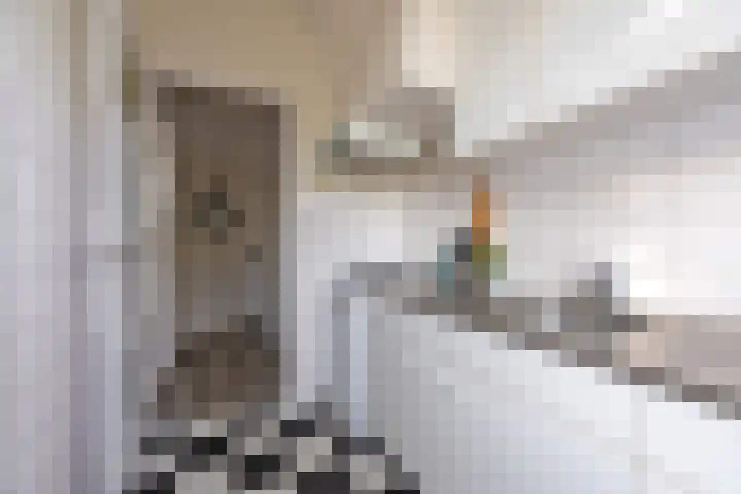 Coendersweg 10 b Groningen thumbnail 31