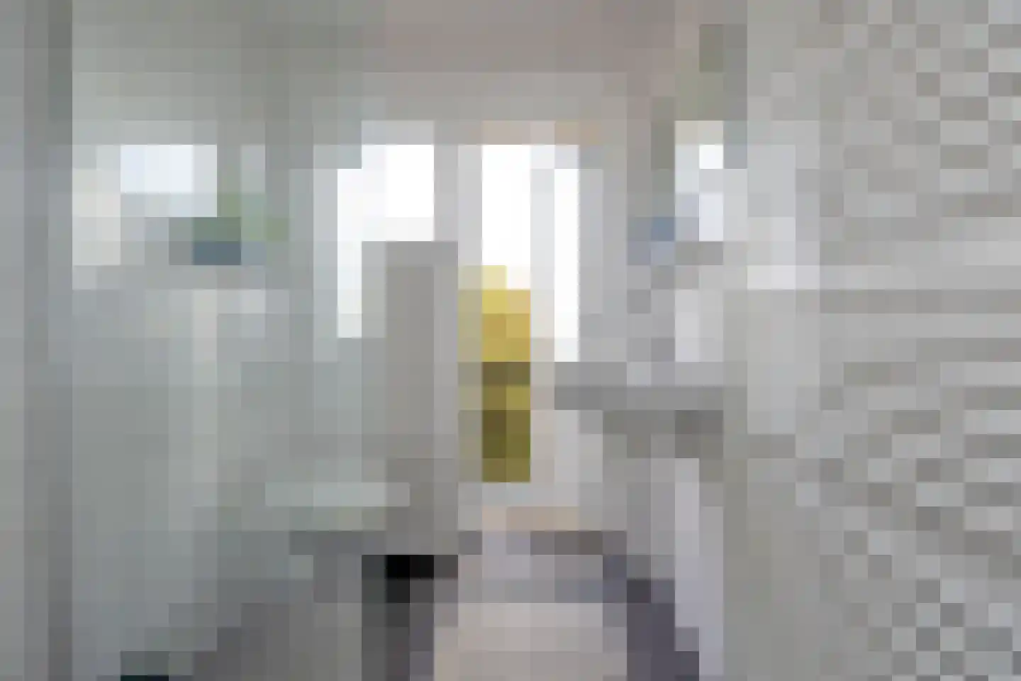 Coendersweg 10 b Groningen thumbnail 34