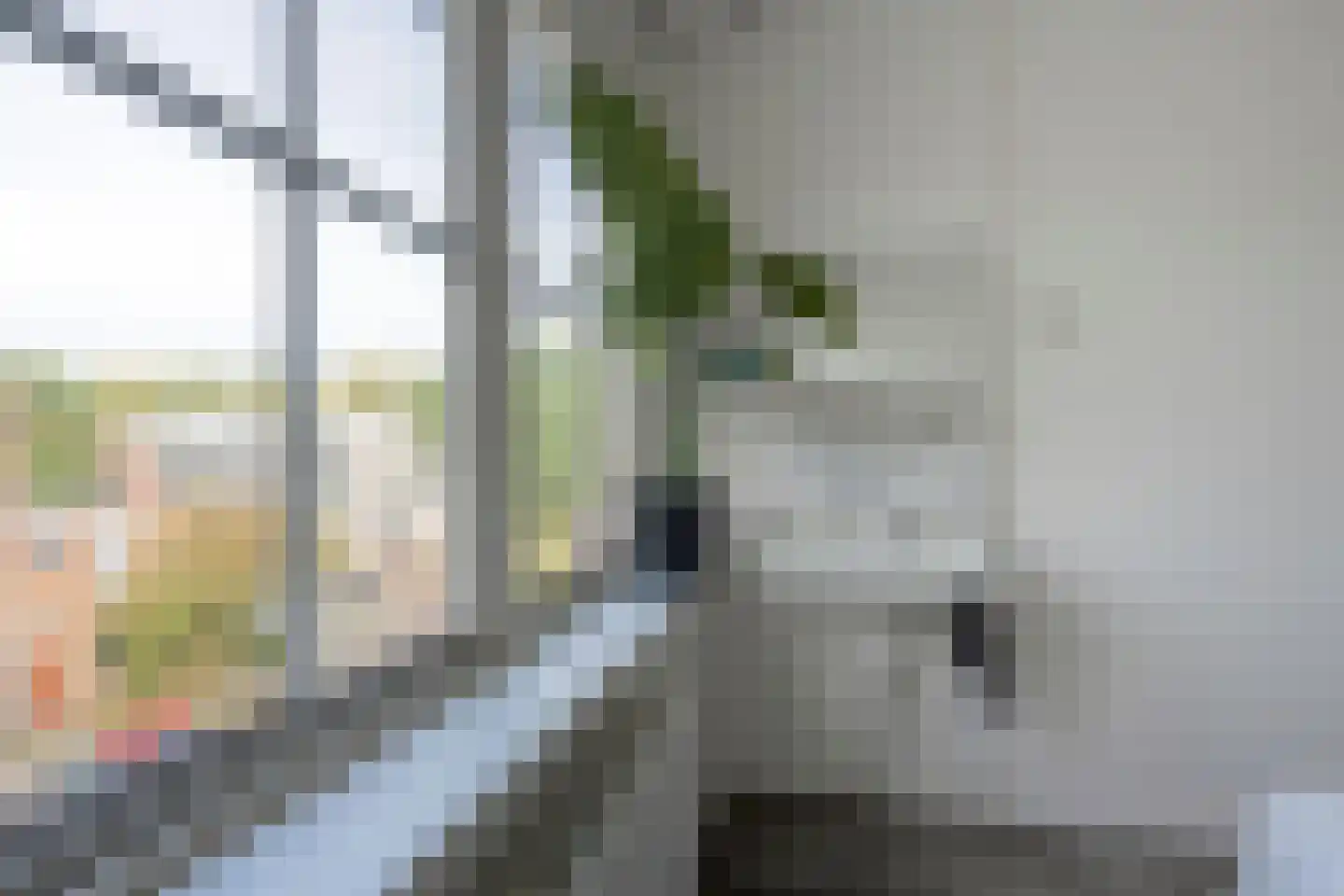Coendersweg 10 b Groningen thumbnail 40