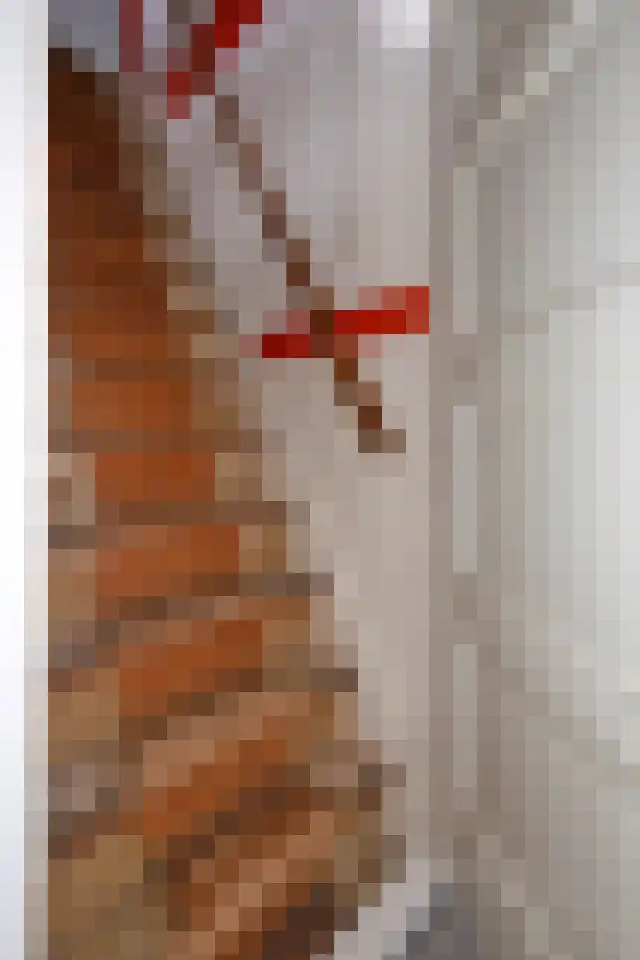 Coendersweg 10 b Groningen thumbnail 43
