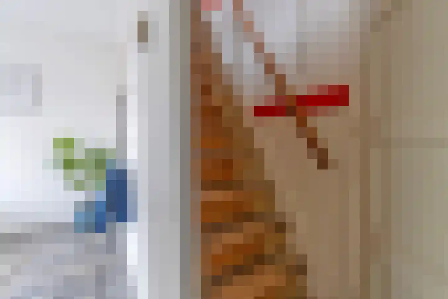 Coendersweg 10 b Groningen thumbnail 44
