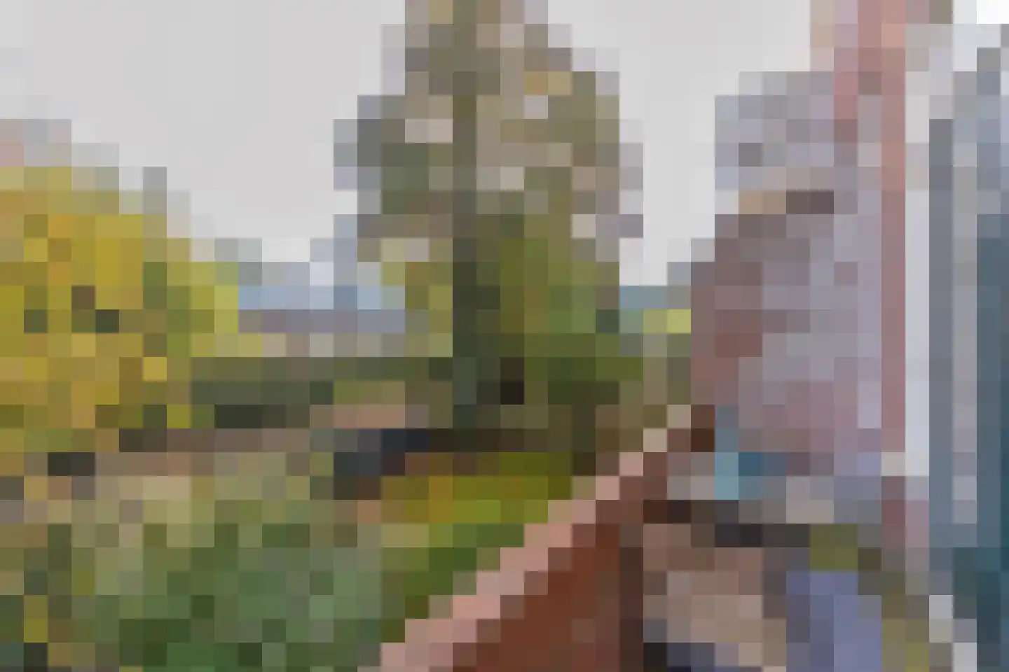 Coendersweg 10 b Groningen thumbnail 6