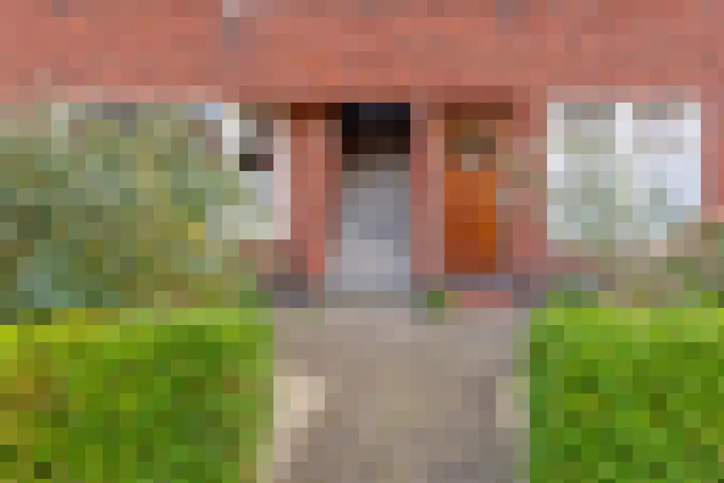 Coendersweg 10 b Groningen thumbnail 9