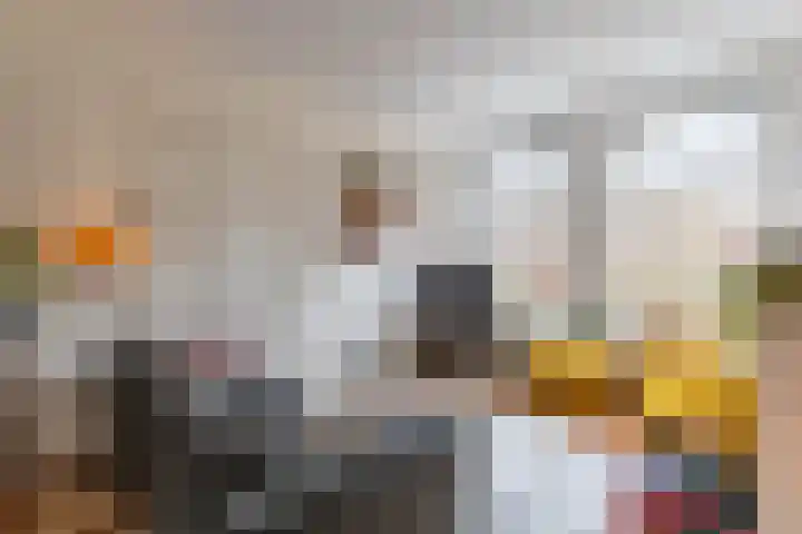 Coendersweg 11 a Groningen thumbnail 11