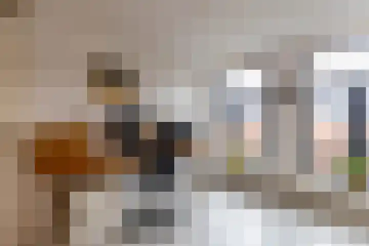 Coendersweg 11 a Groningen thumbnail 32