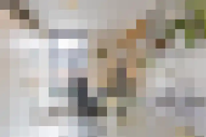 Coendersweg 11 a Groningen thumbnail 33