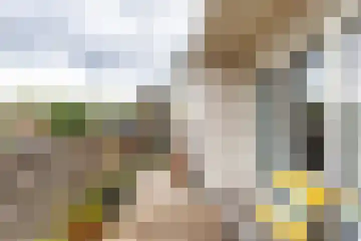 Coendersweg 11 a Groningen thumbnail 37