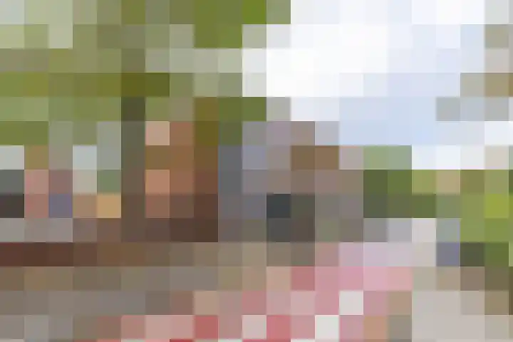 Coendersweg 11 a Groningen thumbnail 39