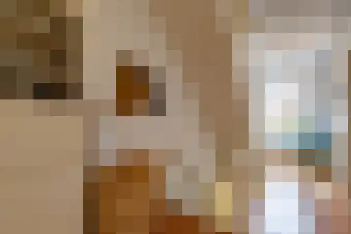 Coendersweg 11 a Groningen thumbnail 7