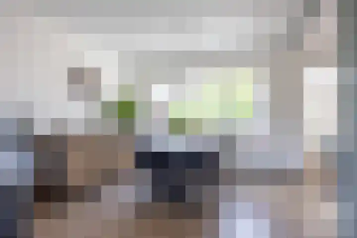 Coendersweg 11 A Middelstum thumbnail 13
