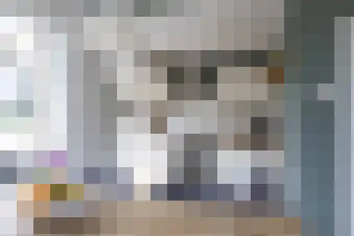 Coendersweg 11 A Middelstum thumbnail 16