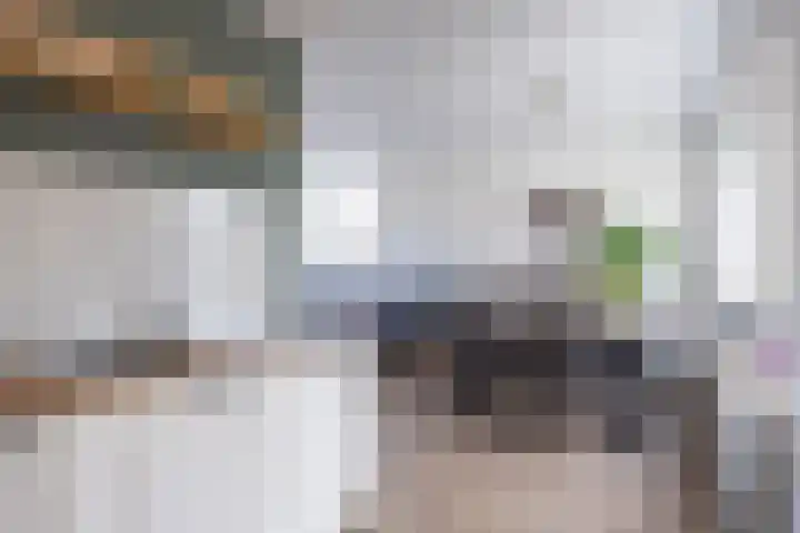 Coendersweg 11 A Middelstum thumbnail 21