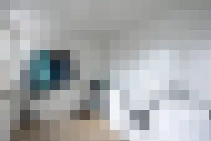 Coendersweg 11 A Middelstum thumbnail 25
