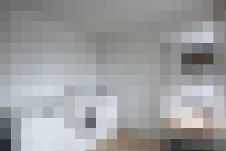 Coendersweg 11 A Middelstum thumbnail 26